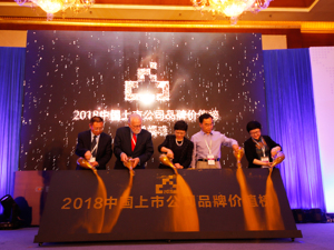 品牌对企业战略不可或缺  500强企业“点赞”品牌价值榜  