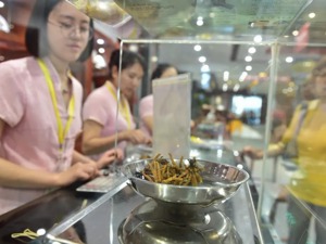 涨幅跑赢房价，完爆腾讯股价！冬虫夏草被吃成了“易危”物种