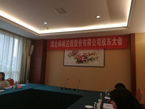 现场直击ST仰帆年度股东会：  “路途太远年龄太大” 七名董事仅两人出席