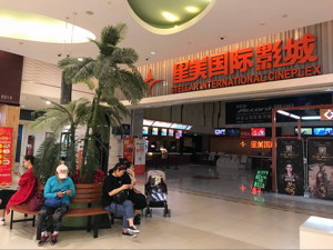 欠薪、欠款、上失信“黑榜” 老牌星美影院陷经营漩涡  星美控股执行董事郑吉崇接受每经记者专访称，金融机构让我们提前偿还十多亿元债务，打乱了原有的经营节奏