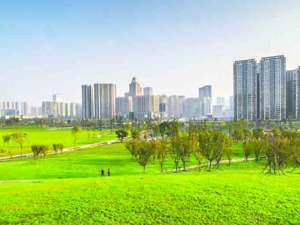 深度| 公园城市的成都探索