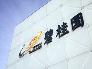 “现金为王”备战后市 碧桂园强化销售与融资管理