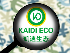 A股首例！凯迪生态员工持股计划“爆仓”，大股东不补仓，数百员工上亿资金血本无归
