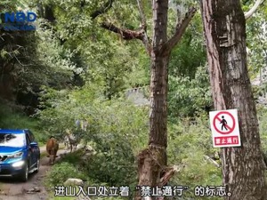 川化股份拟购能投锂业 标的旗下的亚洲最大锂矿开采进度如何？