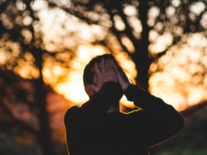 梅球王的遗憾——球球似道