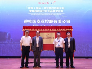 碧桂园的“现代农业梦”