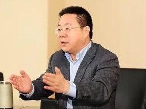 严刚从江淮汽车辞职 将赴国汽智联任总经理
