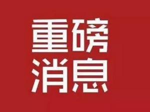 重拳出击！中宣部等五部局发文，共治影视行业“阴阳合同”、偷逃税等乱象