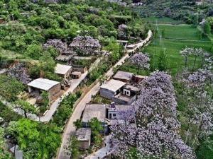“千村调查”：互联网使用东北相对落后 农户最担心普惠金融的安全问题