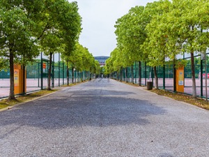 2018全球高校经济学研究力排名：中国高校在国际权威期刊论文发表快速增长，仍缺“芯”
