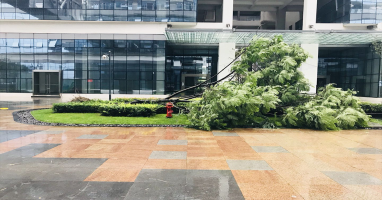 视频丨成都多地遭暴雨袭击，出行请注意安全