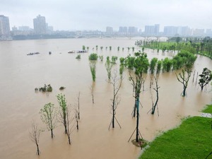 四川暴雨绵阳各江河发生洪水 利尔化学、富临精工：不受影响