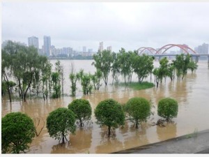 暴雨袭川 四川成渝证代：公司部分高速路段进行管制，其他经营正常