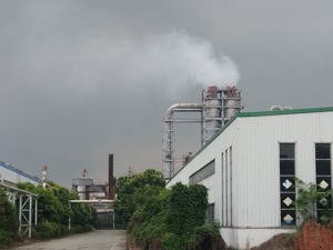 专题丨升达林业“卖壳”失败 引发连锁反应