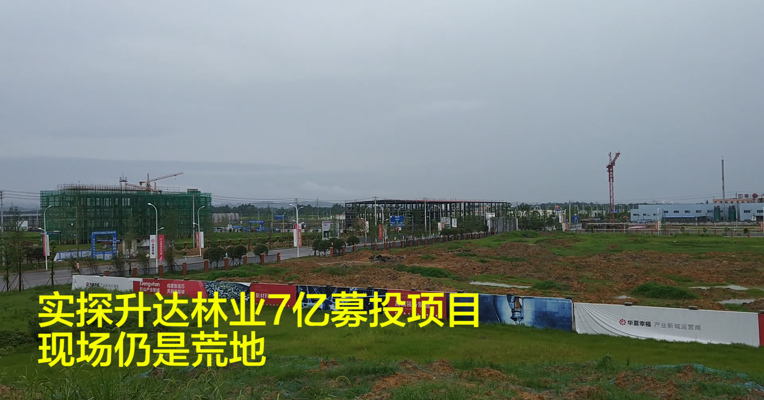 视频丨实探升达林业7亿募投项目：现场仍是荒地   项目大概率被清退