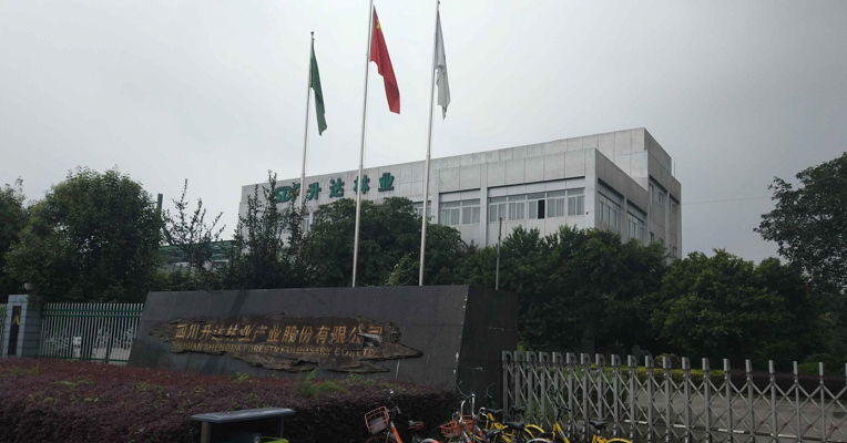 视频丨升达林业控股股东债务高企 缺钱曾致旗下工厂停产