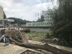 每经记者探访*ST天马因暴雨停产子公司：水已退去 有工人开始在上班