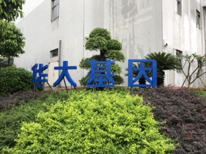 华大基因回应《华大癌变》：已明确告知孕妇检测范围及技术局限性