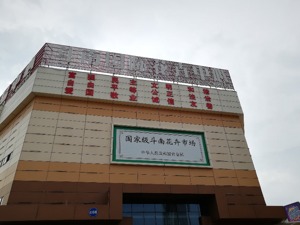 消费升级带动家庭园艺需求  中西部城市花卉需求量爆发式增长