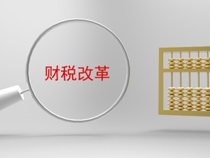 每经专访财科院专家：当前是积极的财政政策 地方债必须纳入预算管理