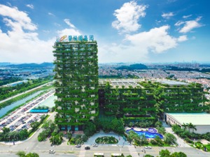碧桂园：500强不是终点，社会创新才是起点