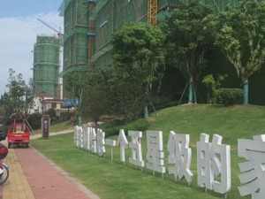 每经记者实探碧桂园六安项目：现场已停工并全面排查安全隐患