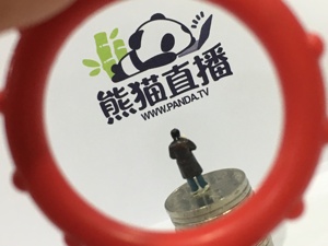 王思聪遇难题！曾经的明星资产如今贱卖没人要