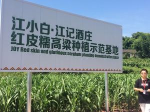 江小白逾30亿布局全产业链  酒企争抢小瓶白酒市场