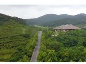 大连友谊首次承认神秘在建工程真身 别墅+高尔夫项目年利息超4000万