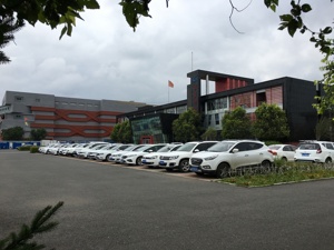 连吃13个跌停的ST长生再遭痛击：子公司9处房产和61台车辆被查封