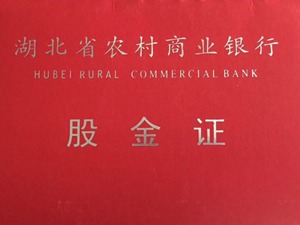 玖富集团战略入股银行成股东，助力数字普惠金融！