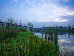 【粉巷财经】渭南,如何正确与西安发生“关系”？