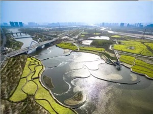 【粉巷财经】对话｜我在西安治河这四年……