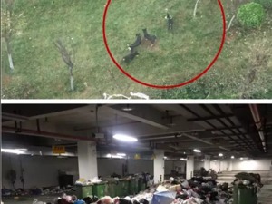 【粉巷财经】民生｜垃圾如山、加盖堵消防门，西安职能部门如此失职？