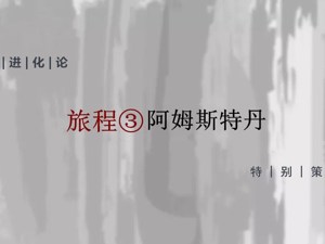 世界 | 拯救阿姆斯特丹