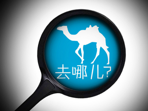 在去哪儿网预订的酒店却不能告诉前台、住一晚就被撵走、投诉半年还是“稍后回复”…