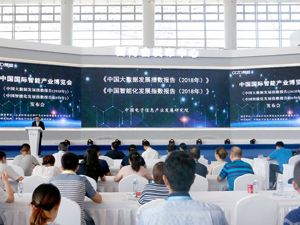 《中国大数据发展指数报告》：大数据产业发展差距明显，西部省市机会在哪？