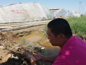 14万大棚仅120个买保险，一场雨冲掉菜农一半身家，这账怎么算
