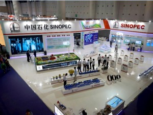 中石化上半年日赚2.31亿元 前十大股东4家增持近5亿股