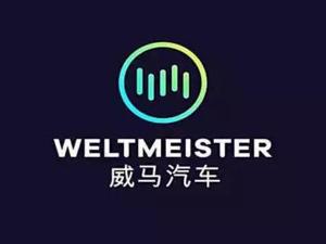 交付前夜，一辆威马EX5突然自燃！网友：还能如期交付吗？