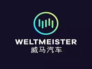 百度、腾讯投资过的互联网汽车，在交付前竟然...自燃了