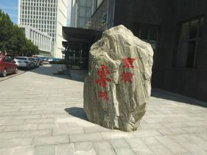 从代言人到法定代表人 山寨家电玩套路拉来“董明珠”