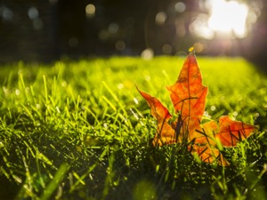 多事之秋：美股走进了历来动荡的九月
