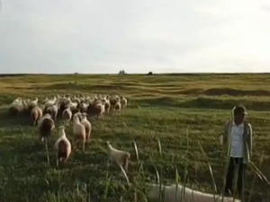 遍地农药瓶、常年违规耕种放牧……这个国家级自然保护区现状堪忧