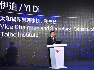 太和智库秘书长伊迪：太和文明强调共同价值
