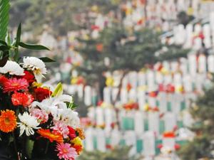 “死不起”有解了！21年最强新政，比房价更暴利的墓地还扛得住？