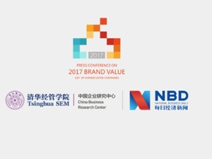 2017中国上市公司品牌价值榜