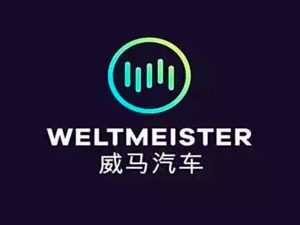 自燃未解交付在即，消费者：威马的车还买不买？