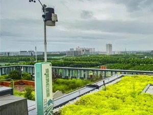 【粉巷财经】海绵城市，能否真正让我们告别“看海”？ 