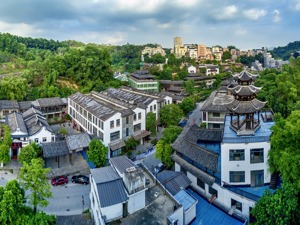 “镁刻三人行”主题对话：城镇化背景下如何建设特色小镇